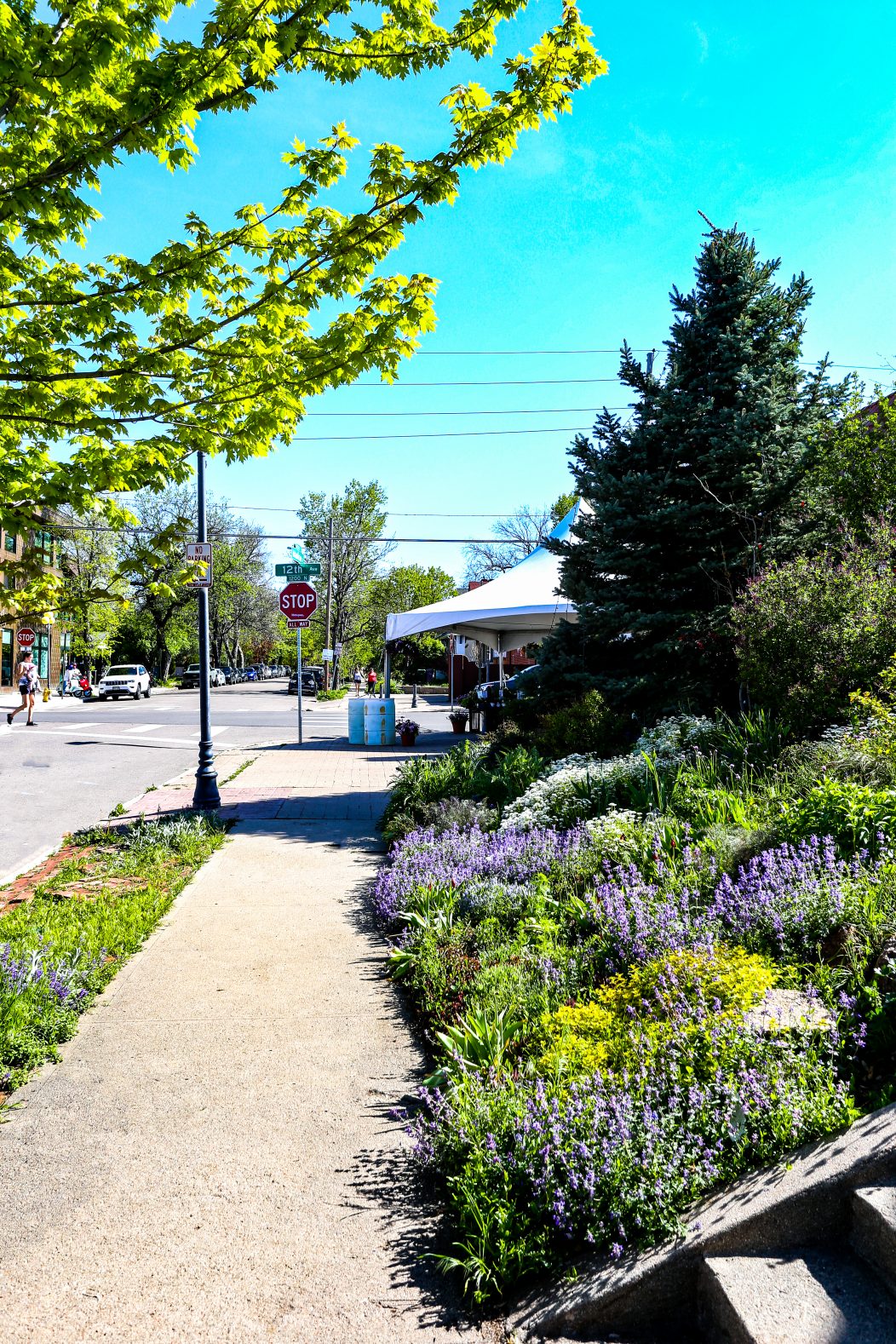 Congress Park - Cornerstone Apartments