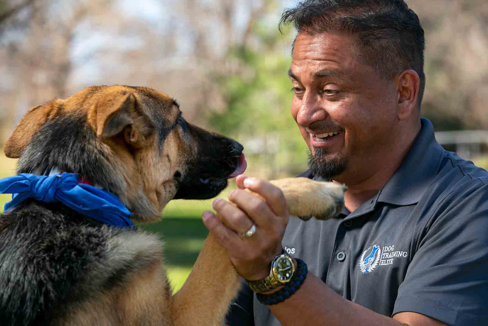 Cornerstone Card Adds Dog Training Services With Dog Training Elite Cornerstone Apartments